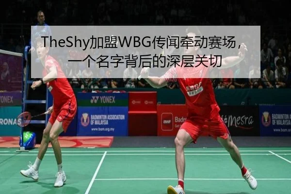 TheShy加盟WBG传闻牵动赛场，一个名字背后的深层关切